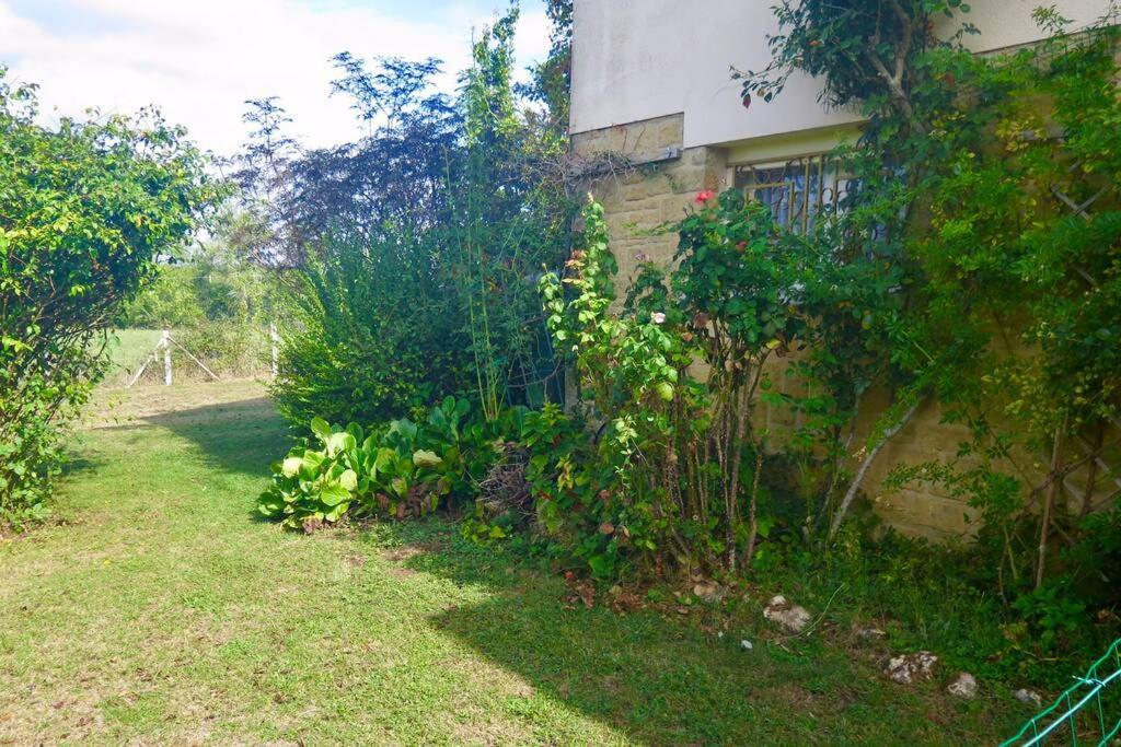 Les Petits Self Contained 2 Bedroom Apartment Molieres (Dordogne) Dış mekan fotoğraf